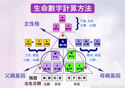 生命流年數怎麼算|從生命靈數看懂你的性格，輸入生日就可以計算出你是。